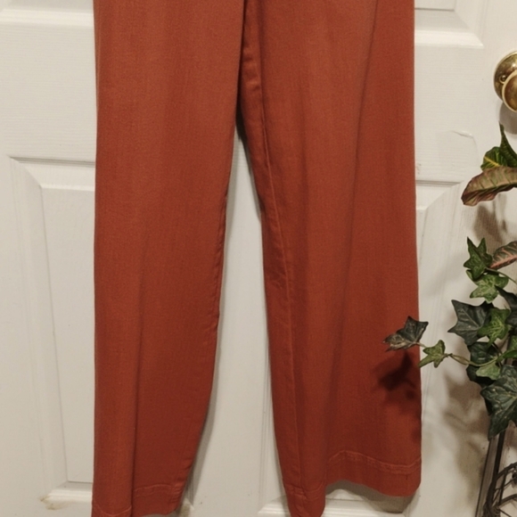Dollhouse Rust colored wide leg jumpsuit - Picture 4 of 15